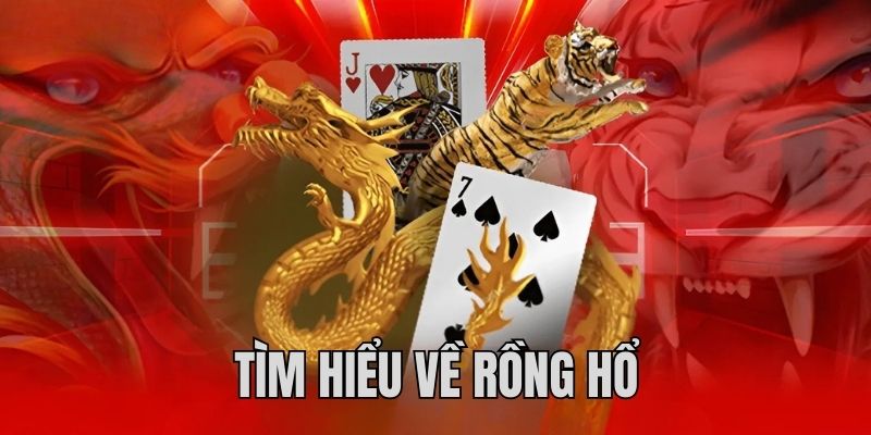 Tìm hiểu chi tiết về cách chơi Rồng Hổ tại MB66